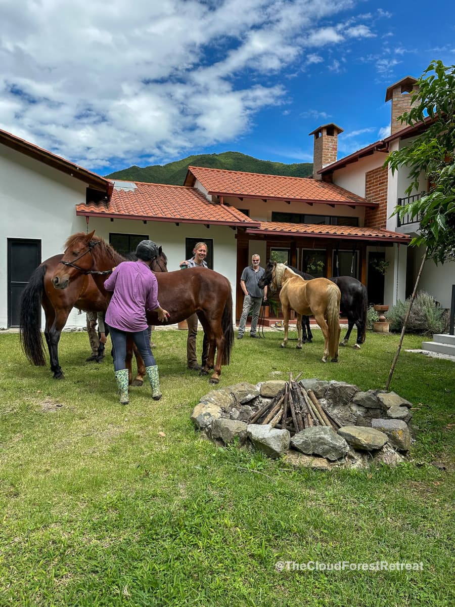 Horseback riding in the Andean cloud forest
