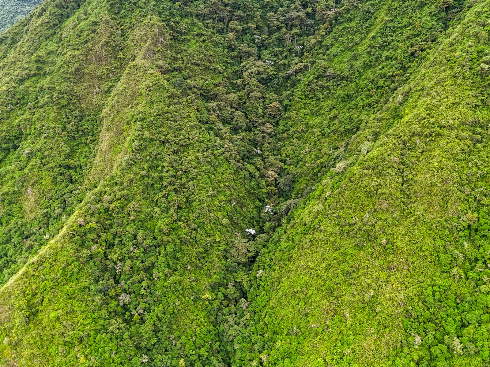 Pululahua landscape