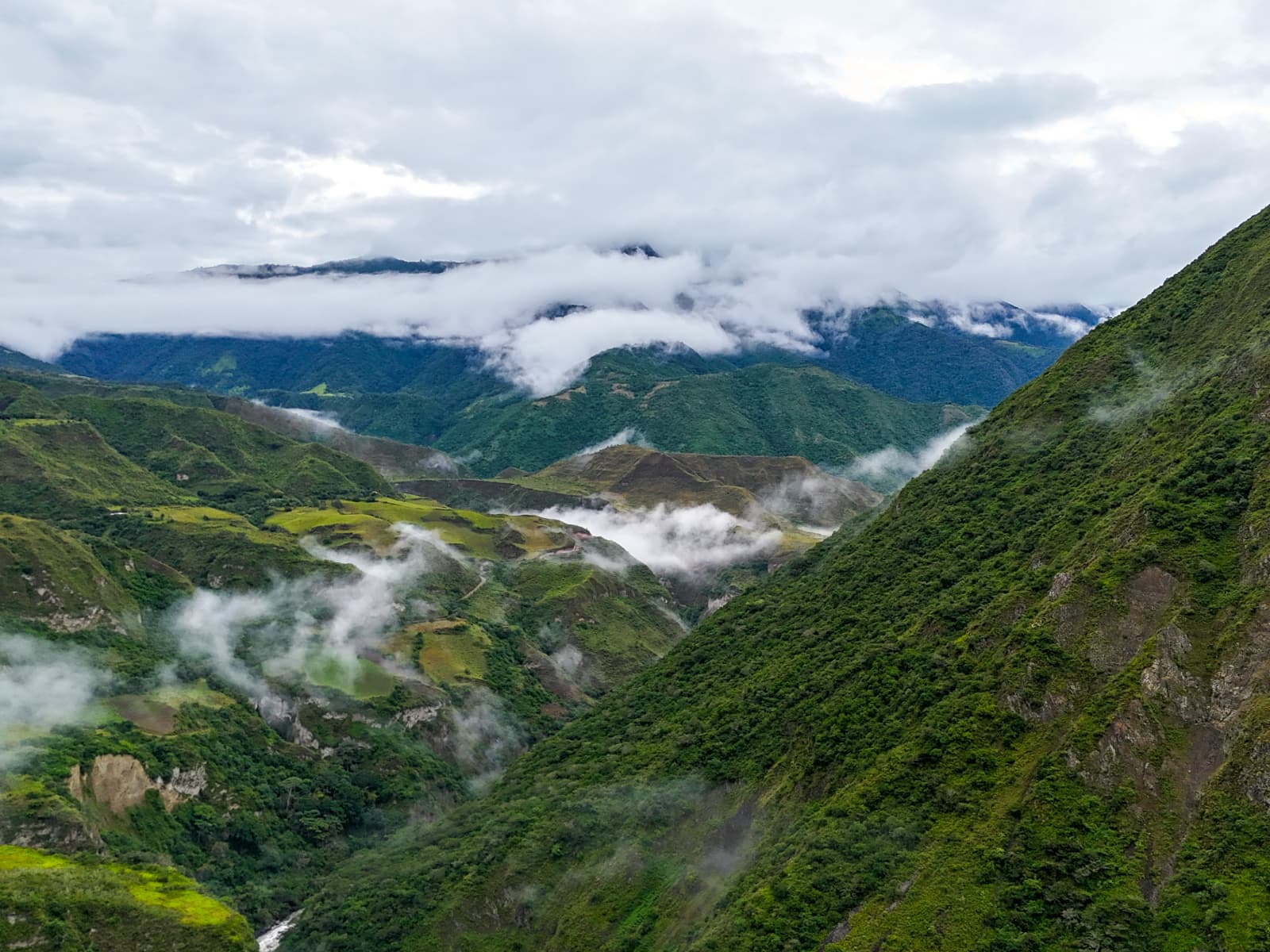 Cloud forest landscape near The Cloud Forest Retreat