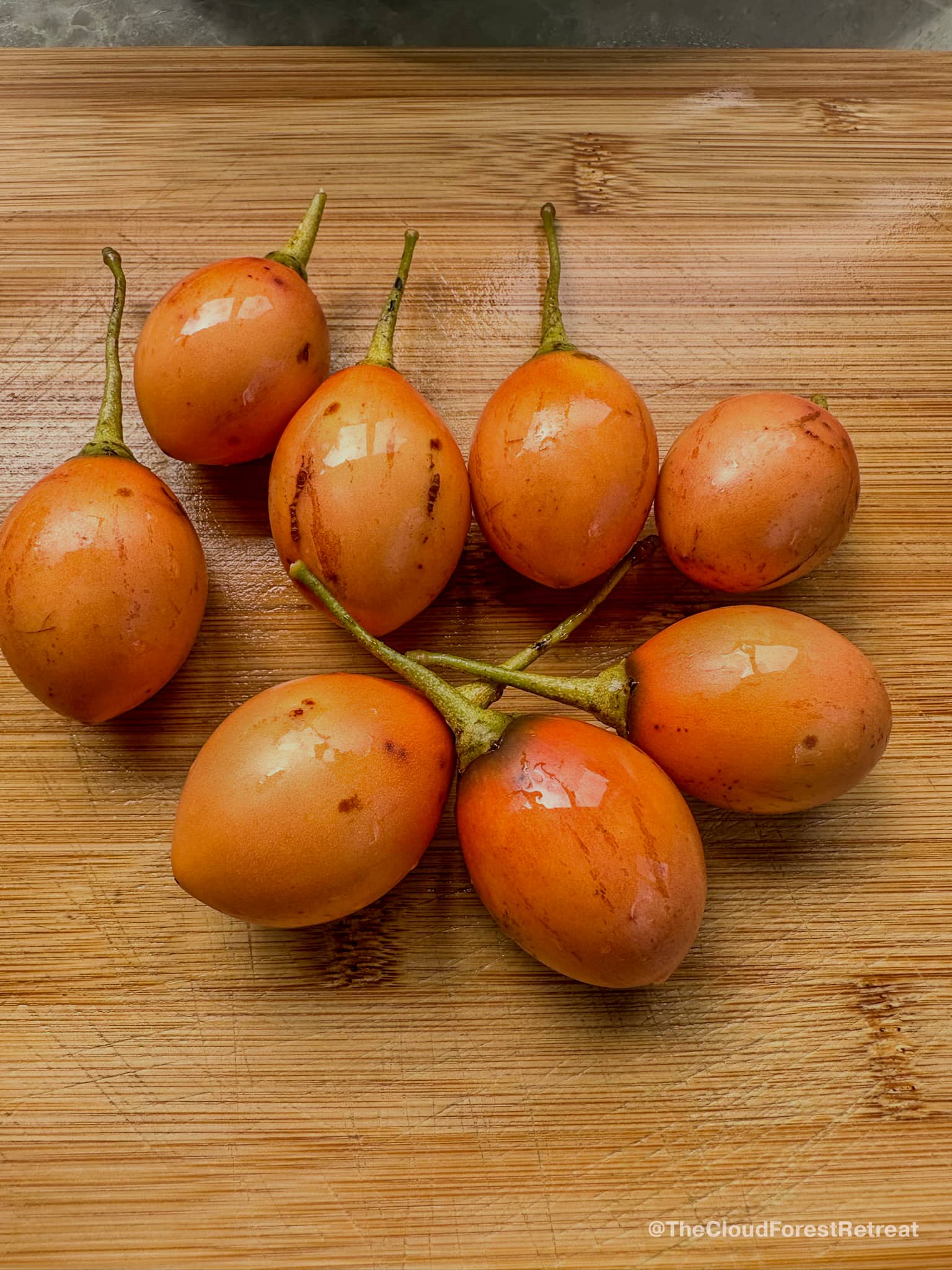 Tree tomatoes