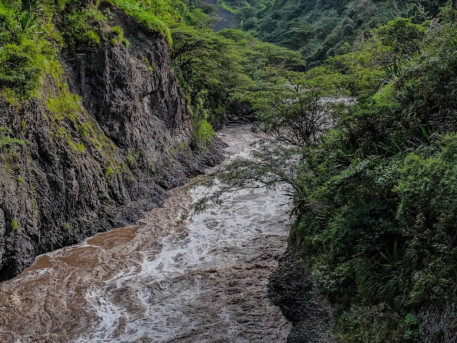 Cloud forest edges above the valley