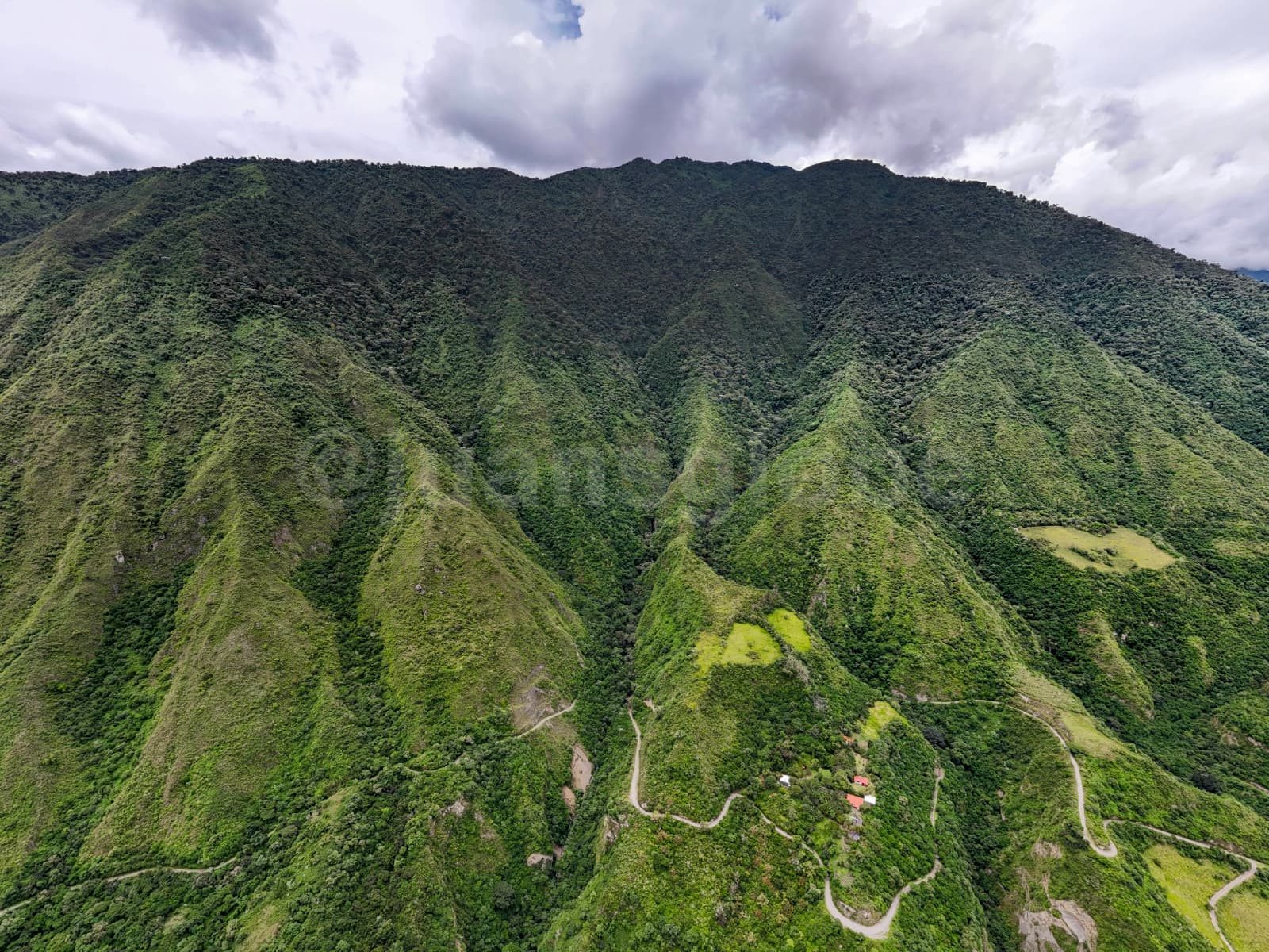 Choco Andino de Pichincha region