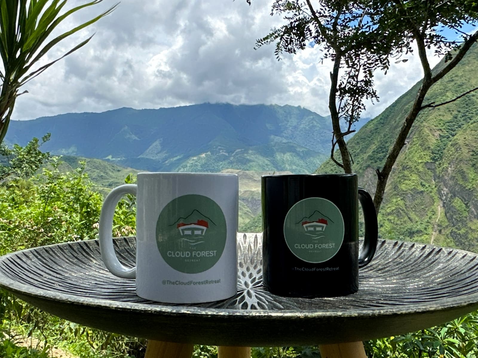 The Cloud Forest Retreat photo gallery