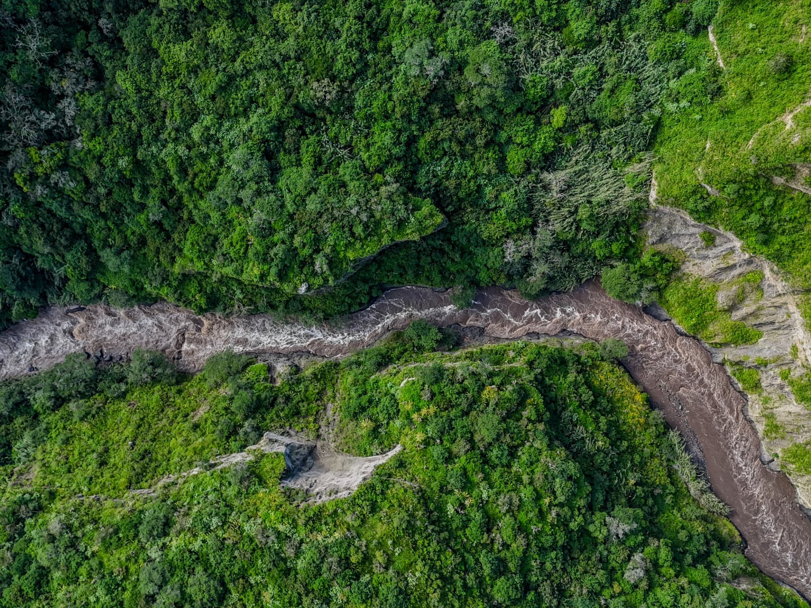 Río Guayllabamba landscape