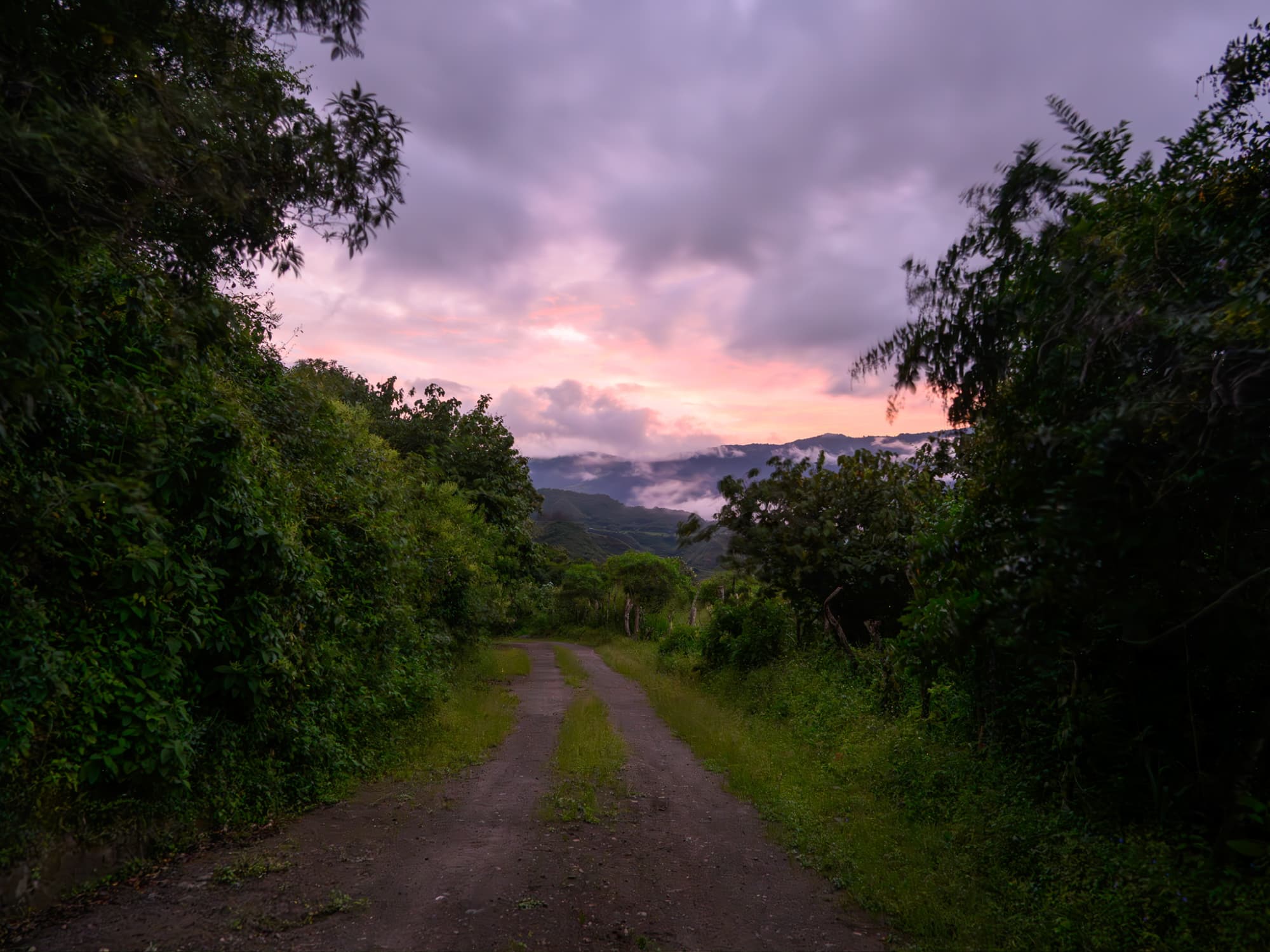 Eco lodge cerca de Quito, Ecuador en The Cloud Forest Retreat
