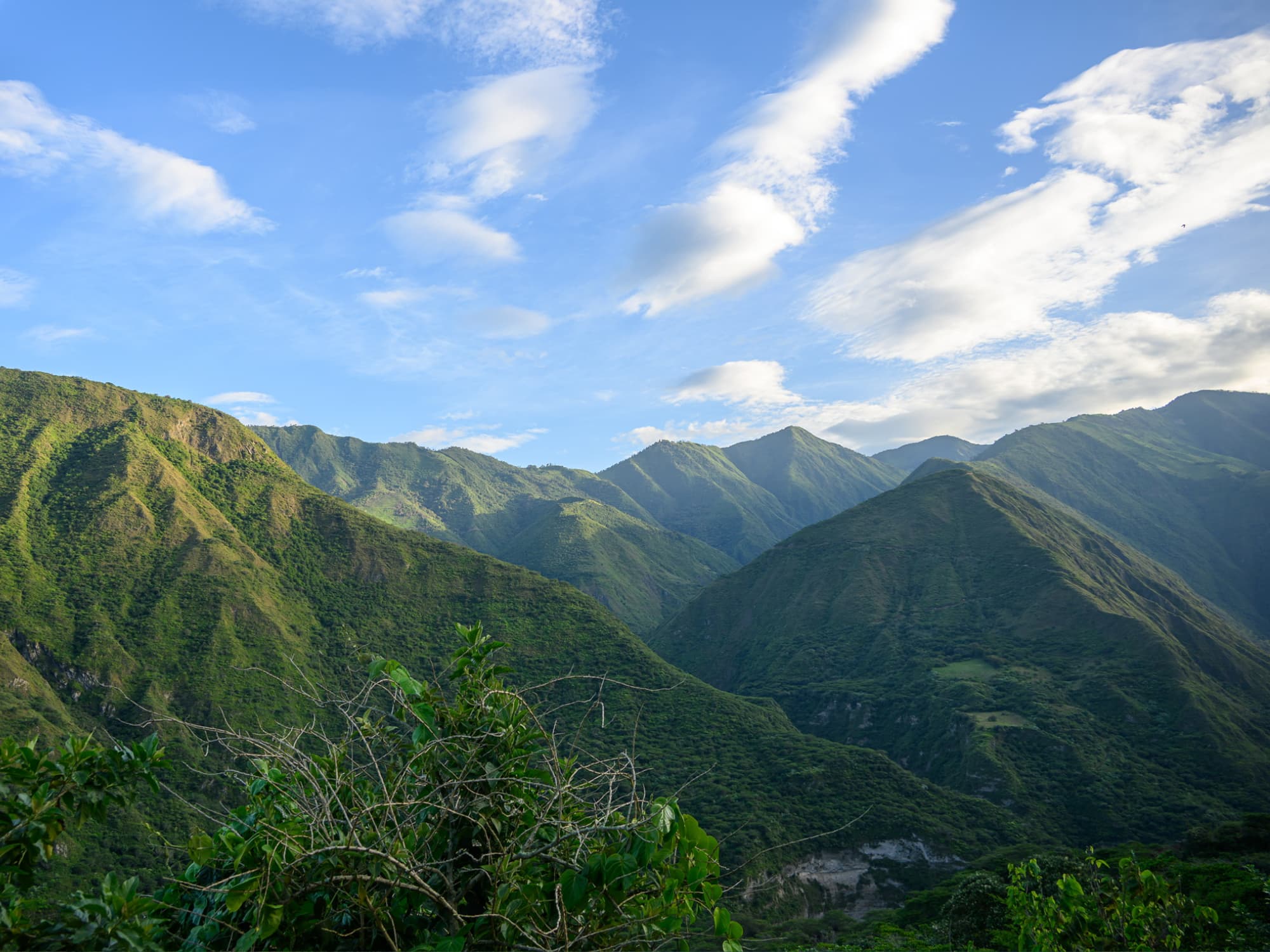Three day cloud forest itinerary planning in Ecuador