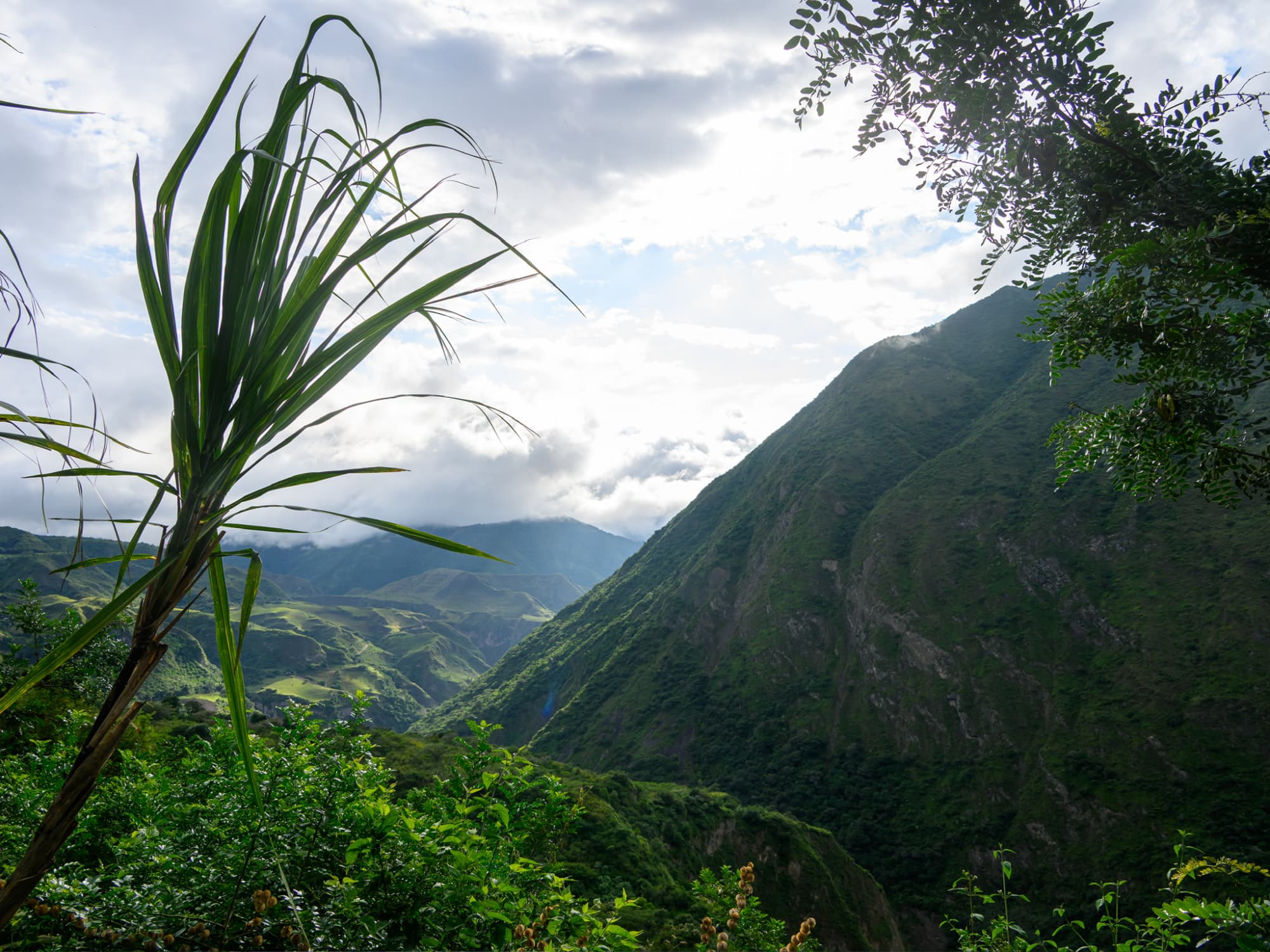 Birdwatching near Quito, Ecuador