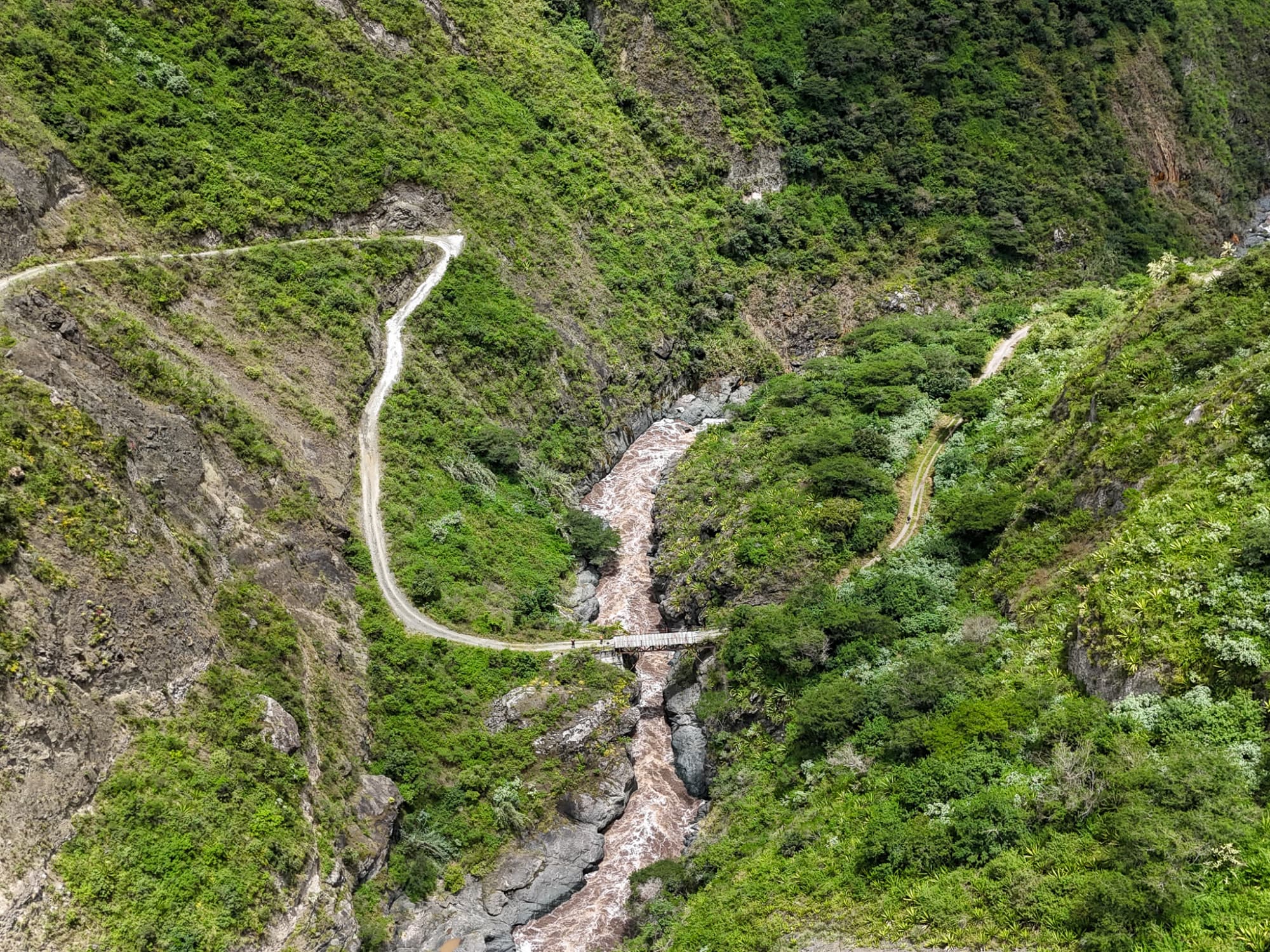 Cloud forest itinerary for 3 days in Ecuador
