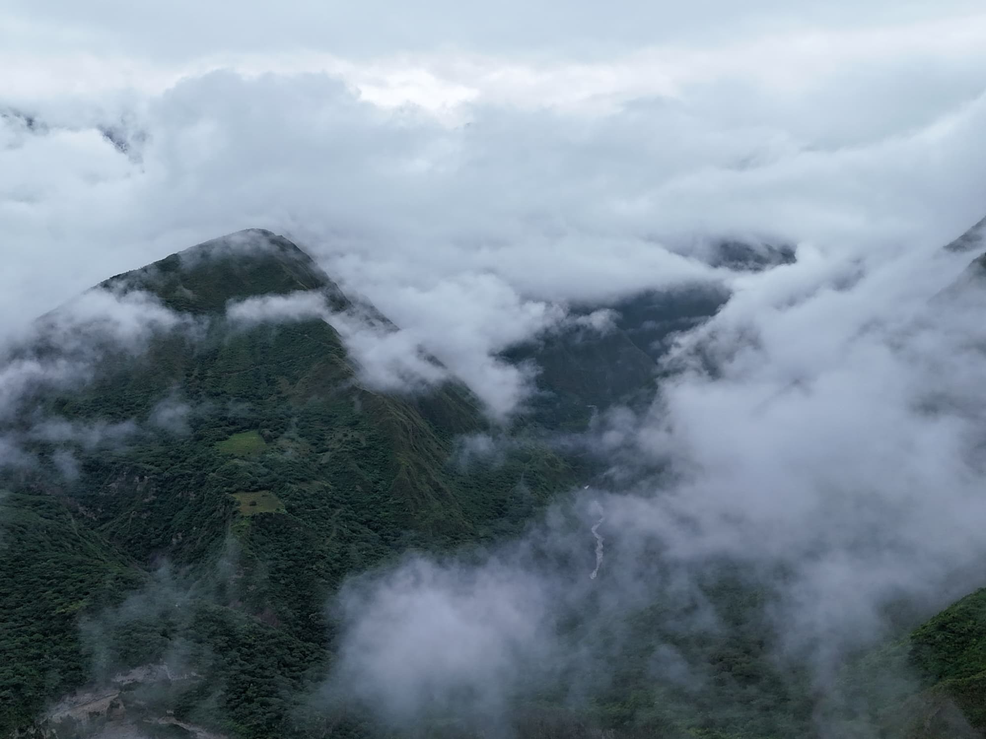 Cloud forest near Quito, Ecuador at The Cloud Forest Retreat