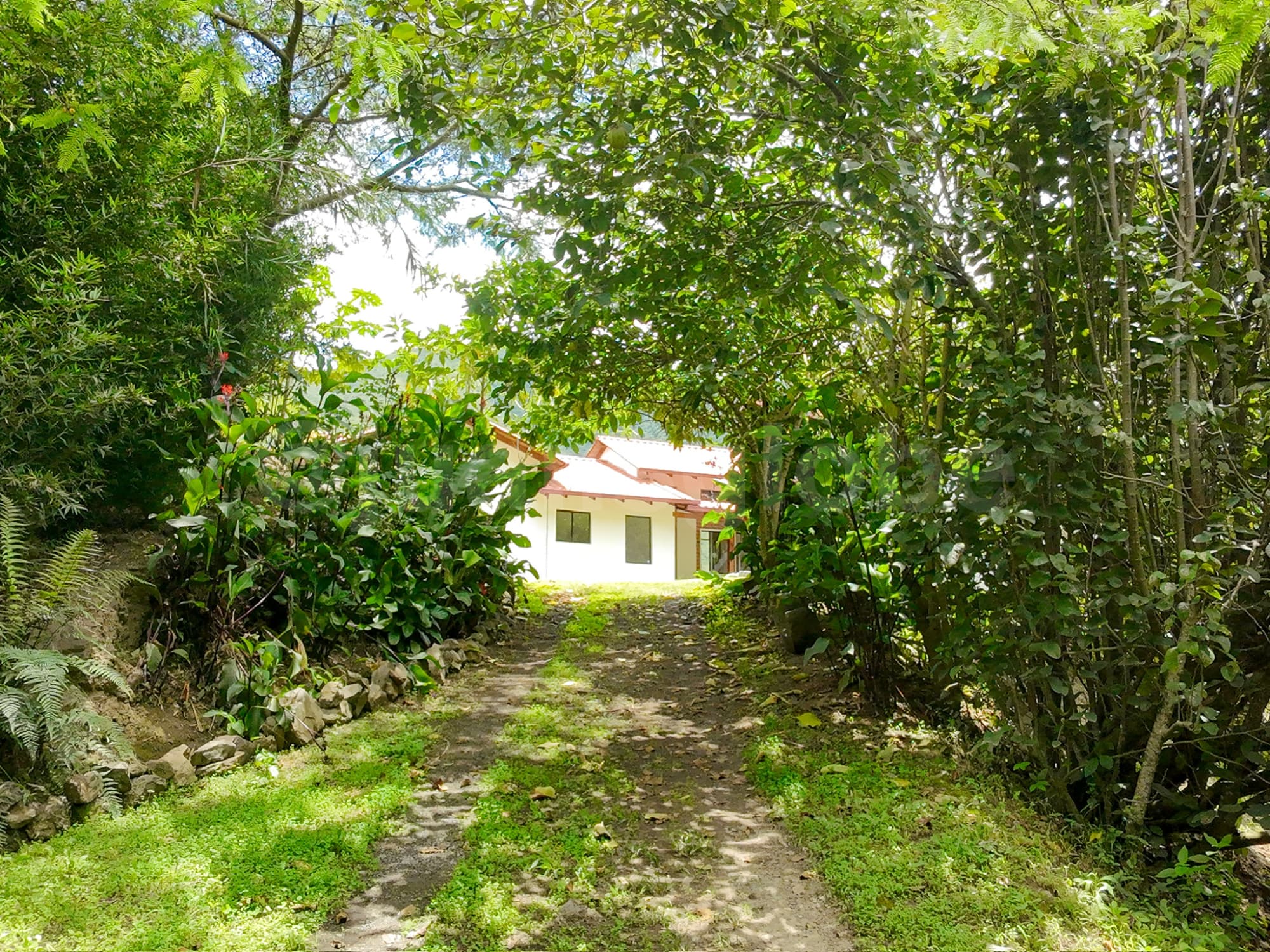 Estadia de eco lodge en bosque nublado cerca de Quito