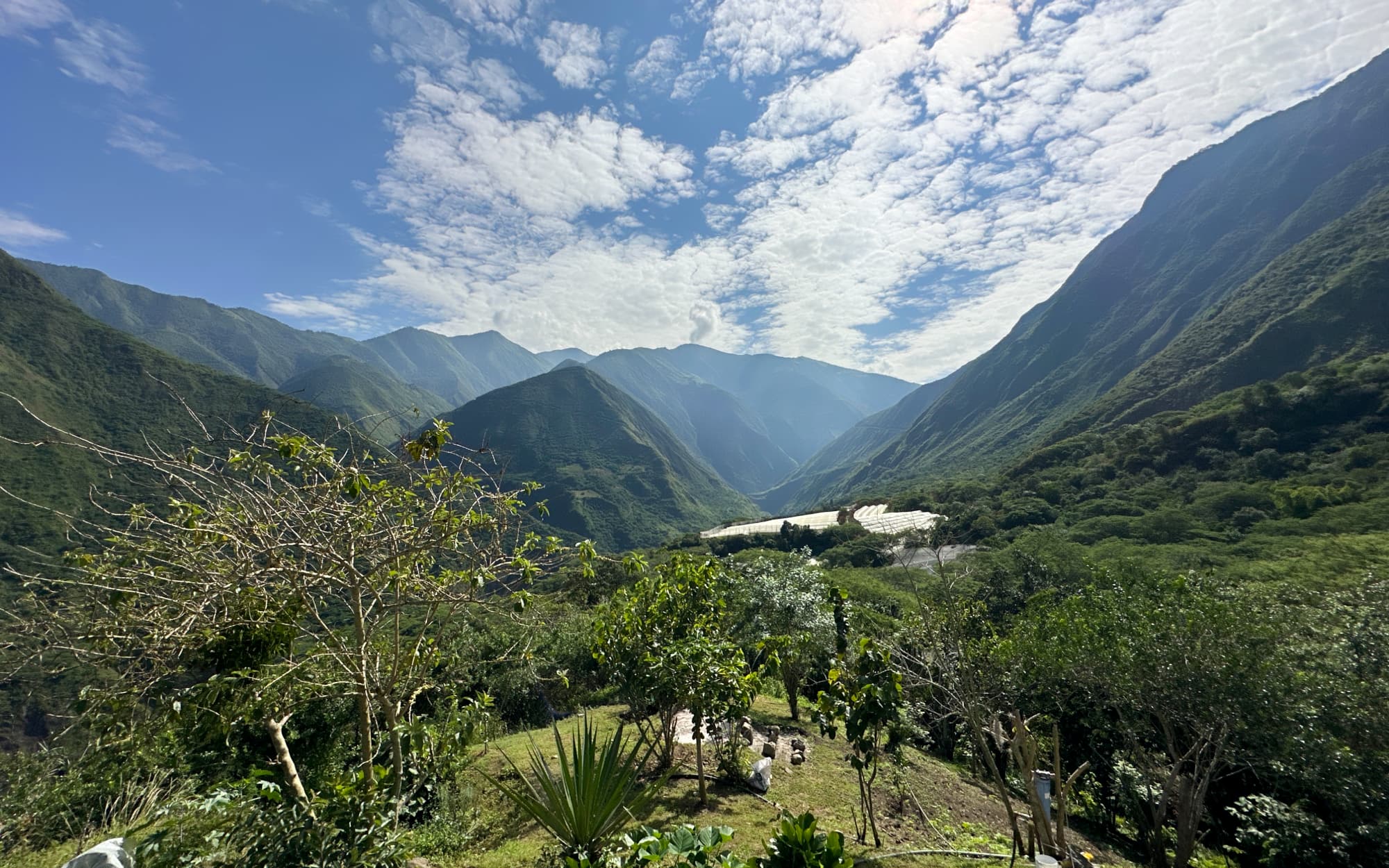 Panoramic Suite interior with valley view