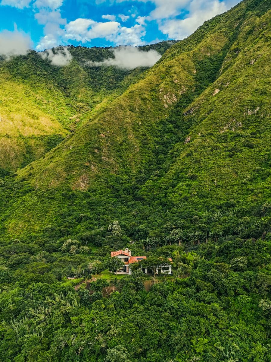 Vista del bosque nublado cerca de The Cloud Forest Retreat