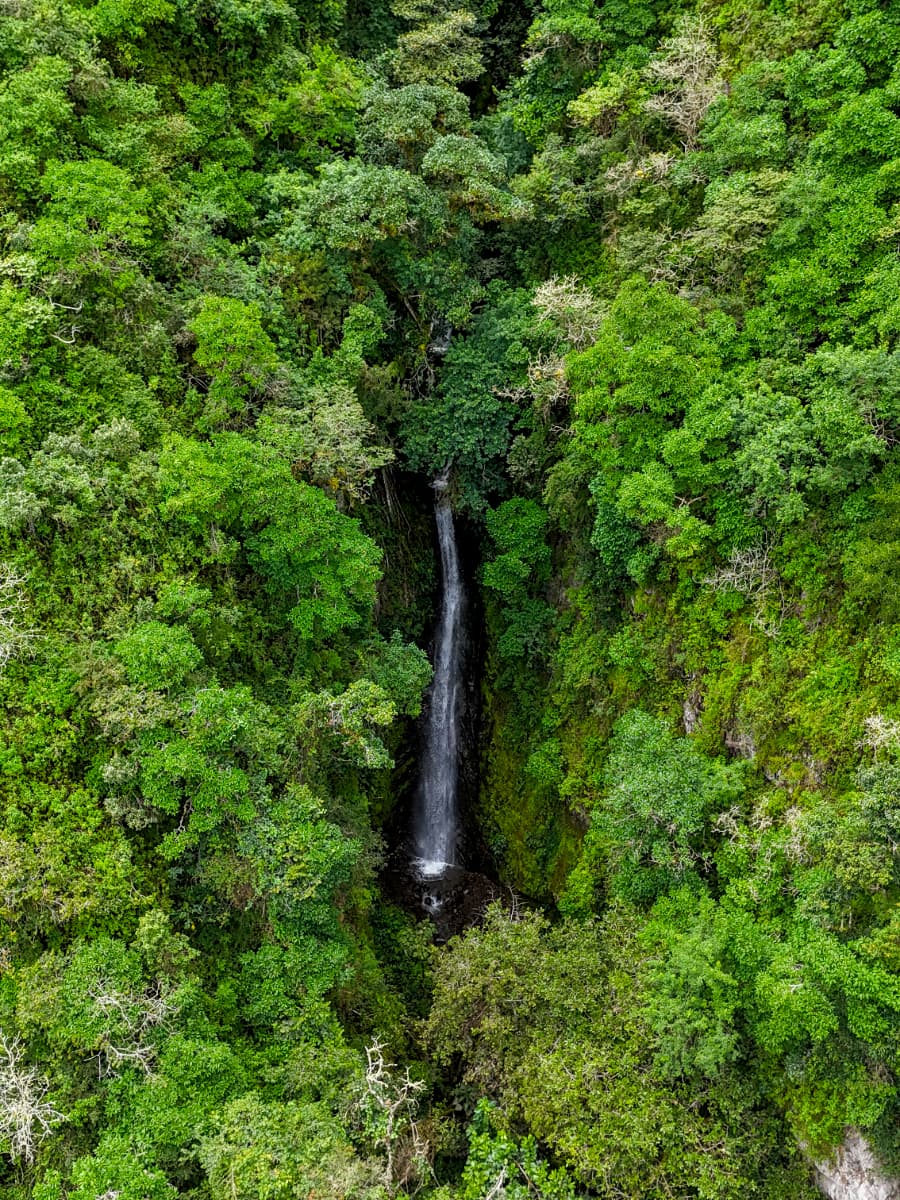 The Cloud Forest Retreat view